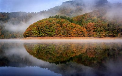 fog, the lake, autumn, forest, luxembourg