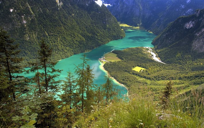 forest, mountain lake, mountains, alps, bayern, germany