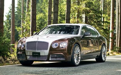 optimización de 2014, mansory, bentley