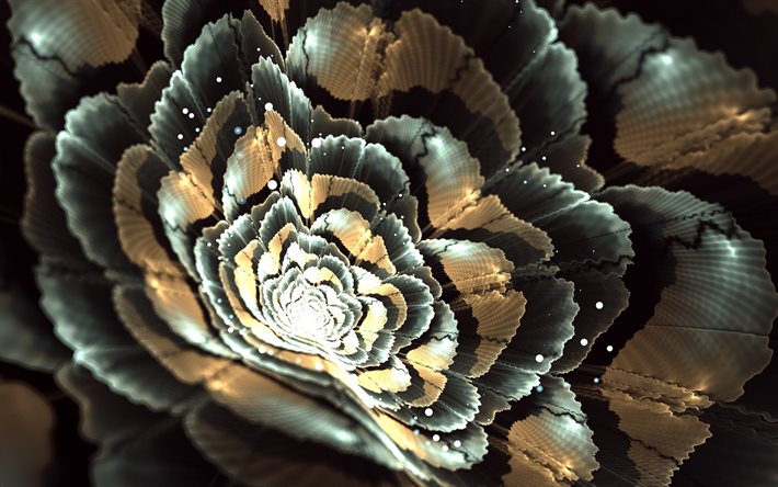 flowers, fractals, graphics, abstraction