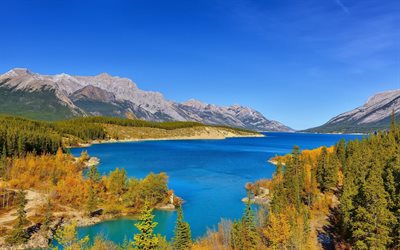 alberta, canadá, el lago abraham, abraham lake, el paisaje, canada, canadian rockies