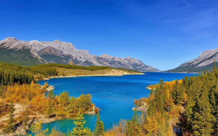 alberta, canada, lago abraham abraham lake, paesaggio, canadian rockies