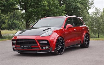 2015, kartano, viritys, porsche