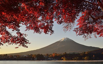 fuji, la montaña, las islas de honshu, otoño, japón