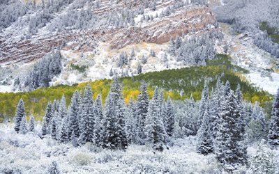 kış, maroon bells, colorado, aspen, dağların yamaçlarında, ABD, usa