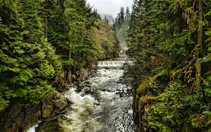 Kuzey vancouver, eşikleri, orman, british columbia, dağ, nehir, Kanada