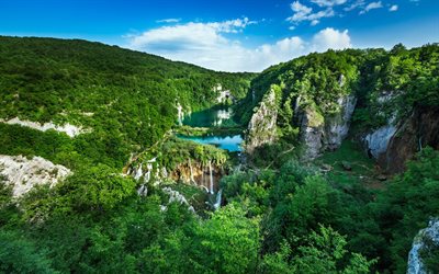 foresta, croazia, estate, le cascate, la parte bassa del lago