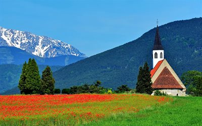 the church, alps, ternitz, austria, schneeberg, poppy field, mountains, peterskirche