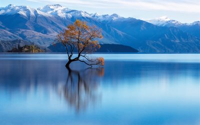 lake wanaka, dağlar, ağaç, Yeni Zelanda