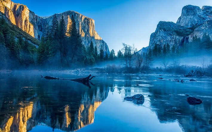 نهر, صباح, الضباب, كاليفورنيا, الولايات المتحدة الأمريكية