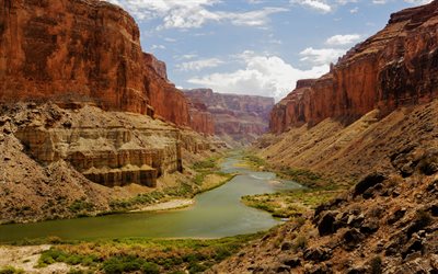 rocha, rio colorado, eua, grand canyon, arizona