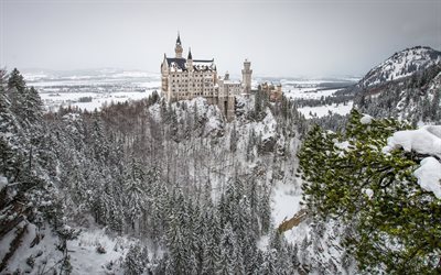 berg, neuschwanstein slott, skog, bayern, vinter, tyskland