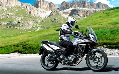 v-strom 650, suzuki, suzuki 2015, motociclista, strada