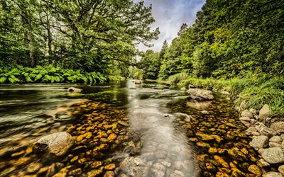río piedras, bosque, verano, belleza