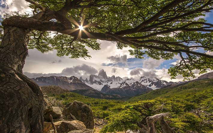 fitz-roy, clouds, mountains, tree, argentina