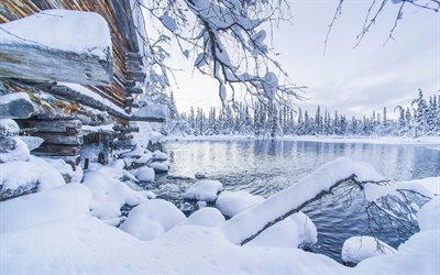 o lago, inverno, neve, drifts, lapônia, finlândia