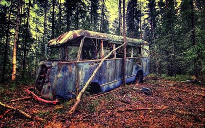 bosque, un autobús abandonado, hdr