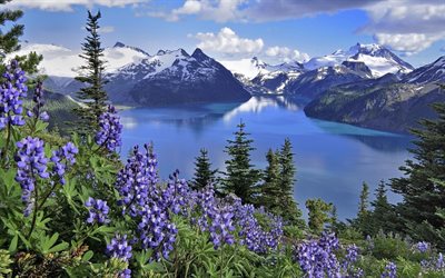 Le Canada, les montagnes, le printemps, le lac