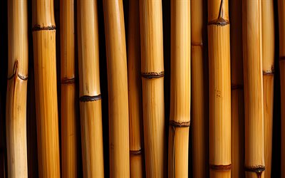 bambusstöcke, 4k, makro, bambustexturen, bambusholz textore, brown bambus, natürliche texturen, bambusstiele, bambushintergrund, bambus