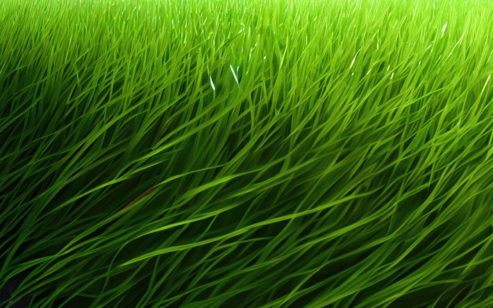 wavy green field, 4k, grass lawn, green grass texture, football field, grass textures, green grass background, green grass field, lawn background, natural textures