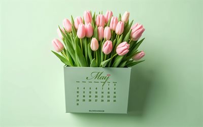 2026 May Calendar, pink tulips, 2026 Calendars, May 2026 Calendar, May Calendar 2026, green background, tulips, May