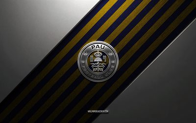 pau fc logo, 4k, stahlhintergrund, französischer fußballverein, gelb blaue linien, pau fc emblem, ligue 2, pau fc, frankreich, fußball, pau fc logo aus metall, wappen des pau fc