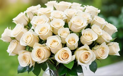 beige ruusuja, 4k, puutarha, lasi maljakko, bokeh, ruusukimppu, kauniita kukkia, tausta ruusuilla, beige kukkia, ruusut