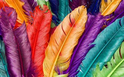 colorful feathers, 4k, macro, feathers textures, background with feathers, feathers patterns, feathers, 3D feathers