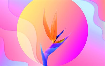4k, material design, abstract flower, geomteric shapes, colorful backgrounds, geometric art, creative, abstract floral art, colorful material design, abstract flowers