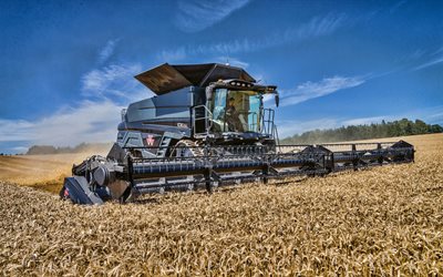 4k, Massey Ferguson IDEAL 9T, harvester, wheat field, wheat harvest, harvesting, harvester in the field, new IDEAL 9T, agricultural machinery, Massey Ferguson