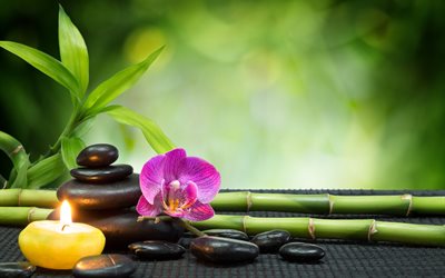 spa, salon, attributes, orchids, bamboo, stones, candles