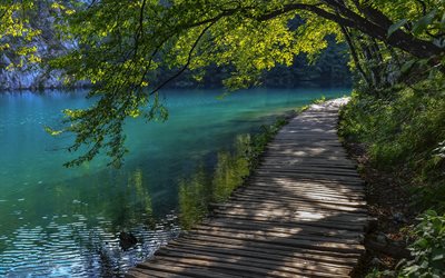 川, この橋, 風景, クロアチア, plitvice湖, トレイル