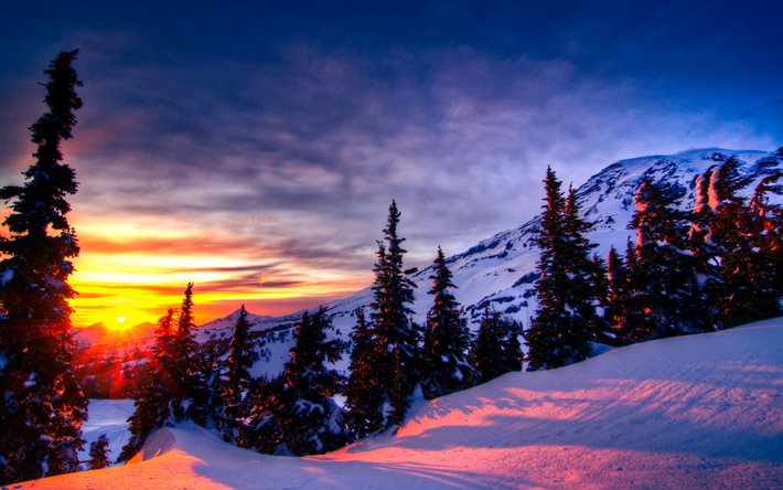 winter, trees, sunset, mountains, bright sun