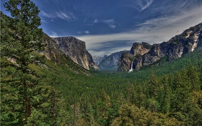 जंगल, नेशनल पार्क yosemite, संयुक्त राज्य अमेरिका, एचडीआर