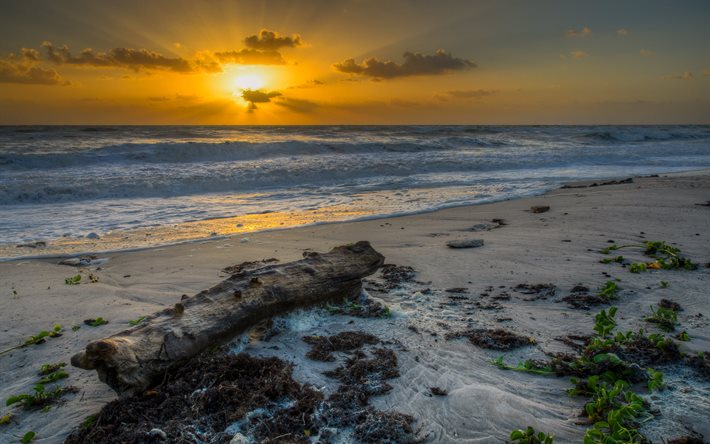 costa, tramonto, oceano, paesaggio