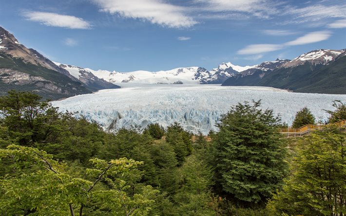 landscape, forest, the perito moreno glacier, argentina