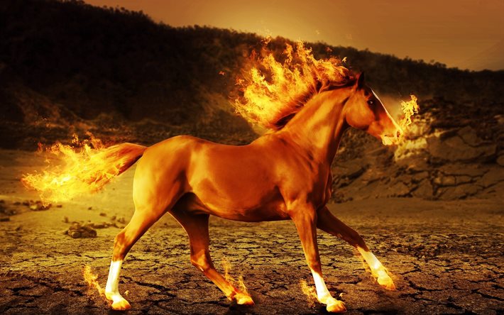 आग, घोड़े, कला