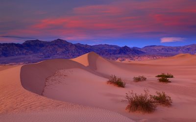 sand, öken, kalifornien, death valley, nationalpark, sanddyner