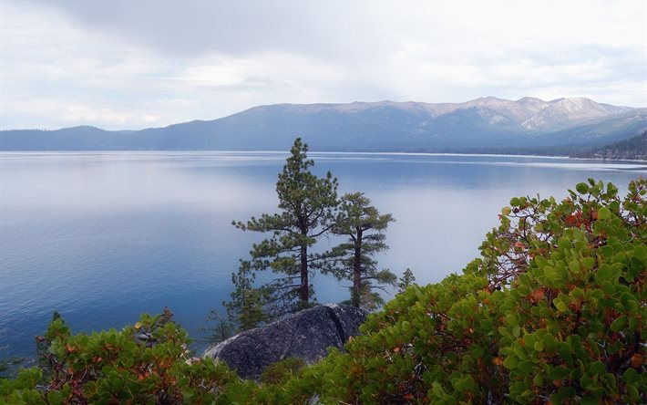 lake tahoe, nevada, ABD, vista noktası