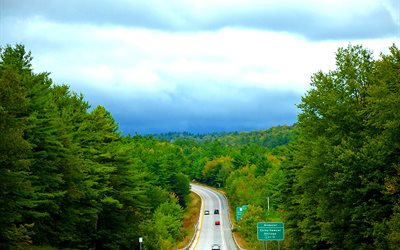 trees, road, south canada, northern vermont, cars