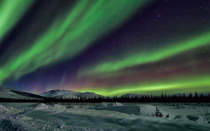 northern lights, alaska, snow, drifts