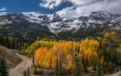 ouray, usa, colorado, road, mountains