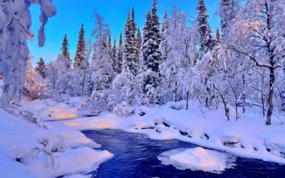 l'hiver, la rivière, la neige, les rayons, les dérives