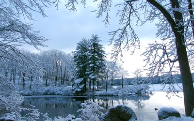 en invierno, el lago, los árboles, la nieve, las derivas