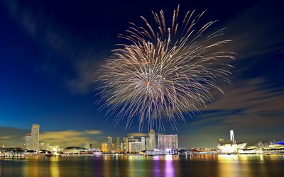 sfilata, festa nazionale, singapore, notte, luci, fuochi d'artificio