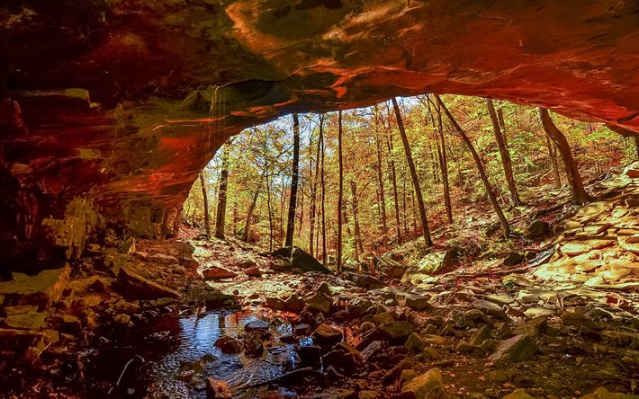 arch, cave, trees