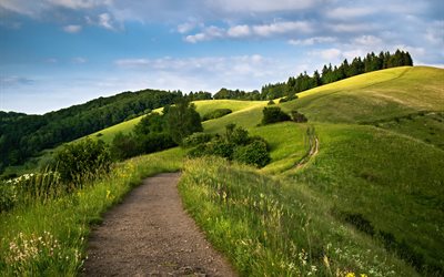 hills, the slopes, summer, trail