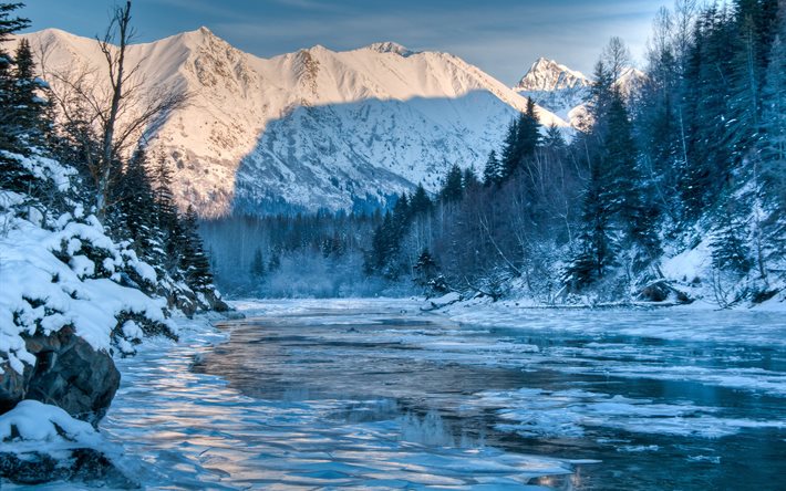 usa, alaska, forest, mountains, winter, river