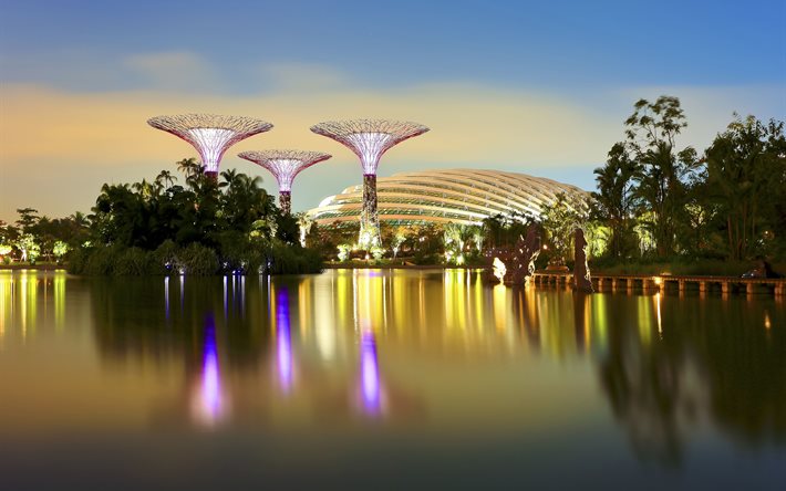 las luces, la arquitectura moderna, singapur, la noche, la ciudad, el lago