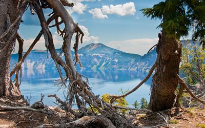 国立公園, 米国, オレゴン州, 作成者湖, 火口湖, 木, 山々